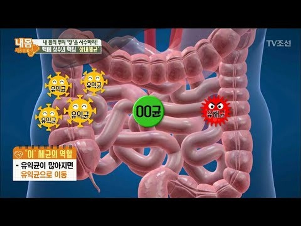 장내에 박쥐같은 세균이 나타났다! 그것의 정체는?! [내 몸 사용설명서] 200회 2...