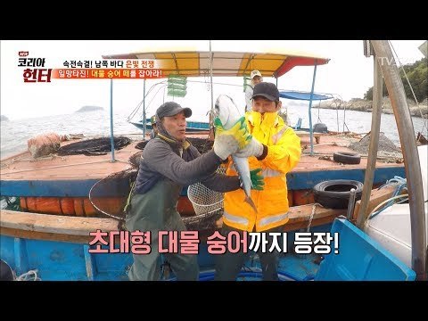 모두가 환호할 정도! 초대형 대물 숭어 등장! [뉴 코리아 헌터] 98회 20180416