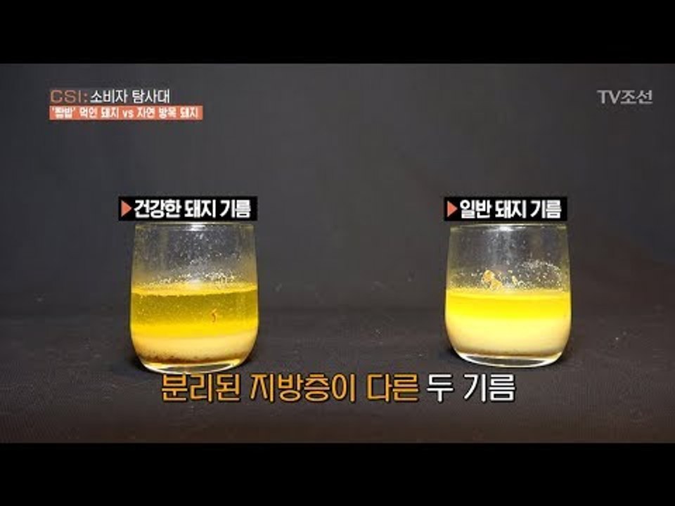 너를 ‘돼지’로 만드는 짬밥먹인 ‘돼지’의 포화지방 [CSI 소비자 탐사대 21회]...
