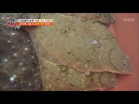 또 만났네~ 또 만났어! '이 곳'이 바로 물고기 백화점? [뉴 코리아 헌터] 105회 20180604
