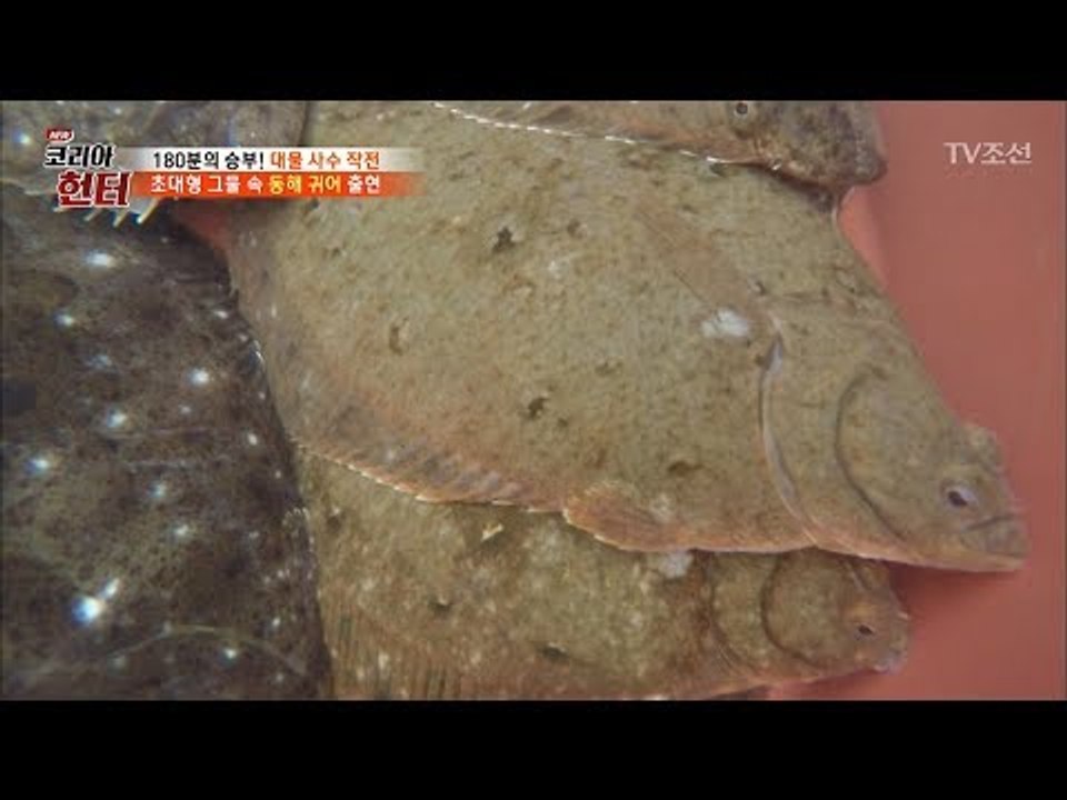 또 만났네~ 또 만났어! '이 곳'이 바로 물고기 백화점? [뉴 코리아 헌터] 105...