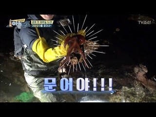 어촌캠프 ‘문어 2호’를 획득한 김풍! [장화신GO 어촌캠프] 1회 20180504