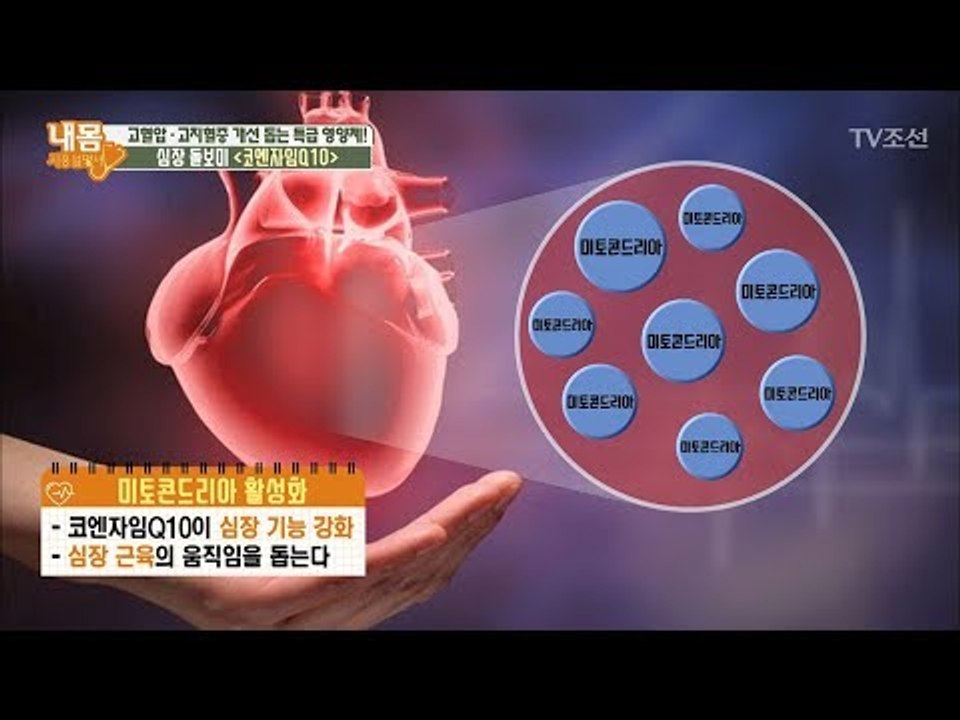 피부에만 좋은 줄 알았던 코엔자임Q10의 또 다른 효능! [내 몸 사용설명서] 208...