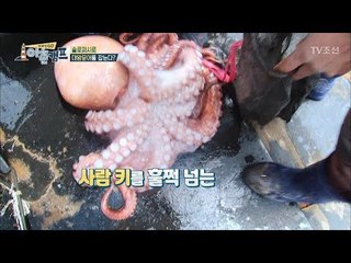어촌캠프 첫 미션! ‘대왕문어’를 잡아라! [장화신GO 어촌캠프] 1회 20180504