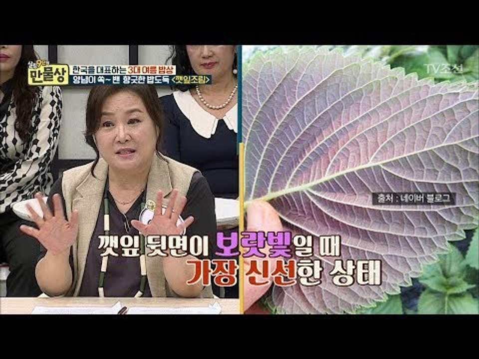 가장 신선한 깻잎 고르는 초간단 방법! ‘보랏빛’을 찾아라 [만물상 248회] 201...