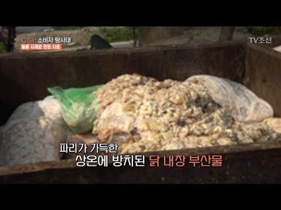 구제역 걸린 동물을 화장시킨 렌더링 공장의 실체! [CSI 소비자 탐사대 24회] 2...
