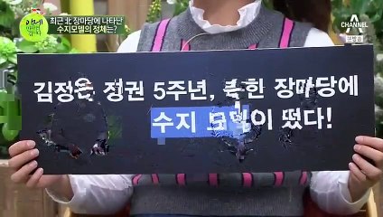 삼척출장안마 -여대생！Ø1Øe2997b5327【문의톡DDR88】삼척전지역출장마사지삼척출장안마'삼척출장마사지황형'출장안마'おかが'출장마사지'콜걸'출장마사지'콜걸