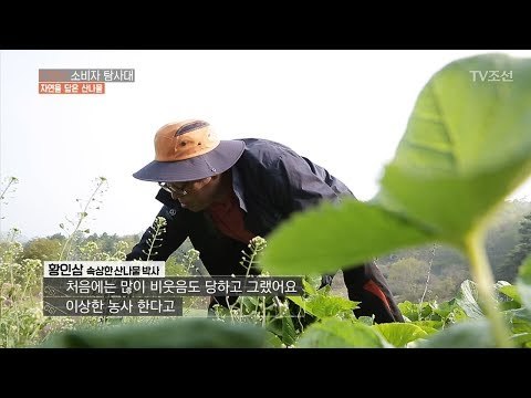 특별한 방법으로 산나물 농사를 하는 사람이 있다? [CSI 소비자 탐사대 24회] 20180513