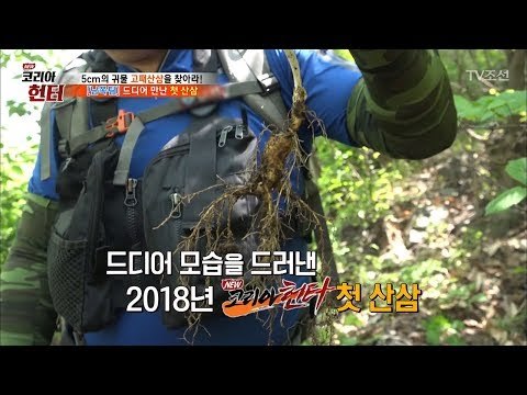 드디어 모습을 드러낸 2018년 ‘첫 산삼’ [뉴 코리아 헌터] 102회 20180514