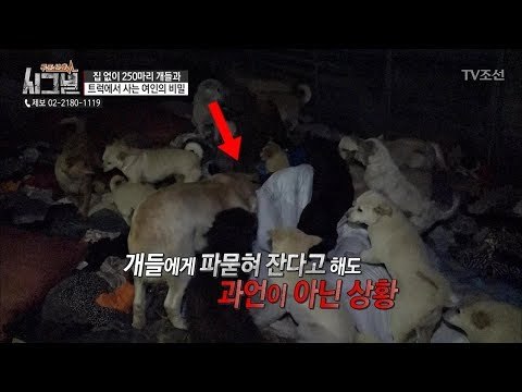 무려 20여 년간 개들에게 파묻혀 자는 상황! [시그널] 25회 20180518