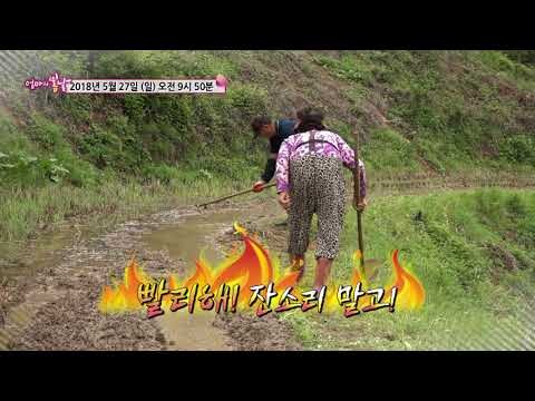 쌍순 엄마와 초보 농사꾼_엄마의 봄날 141회 예고