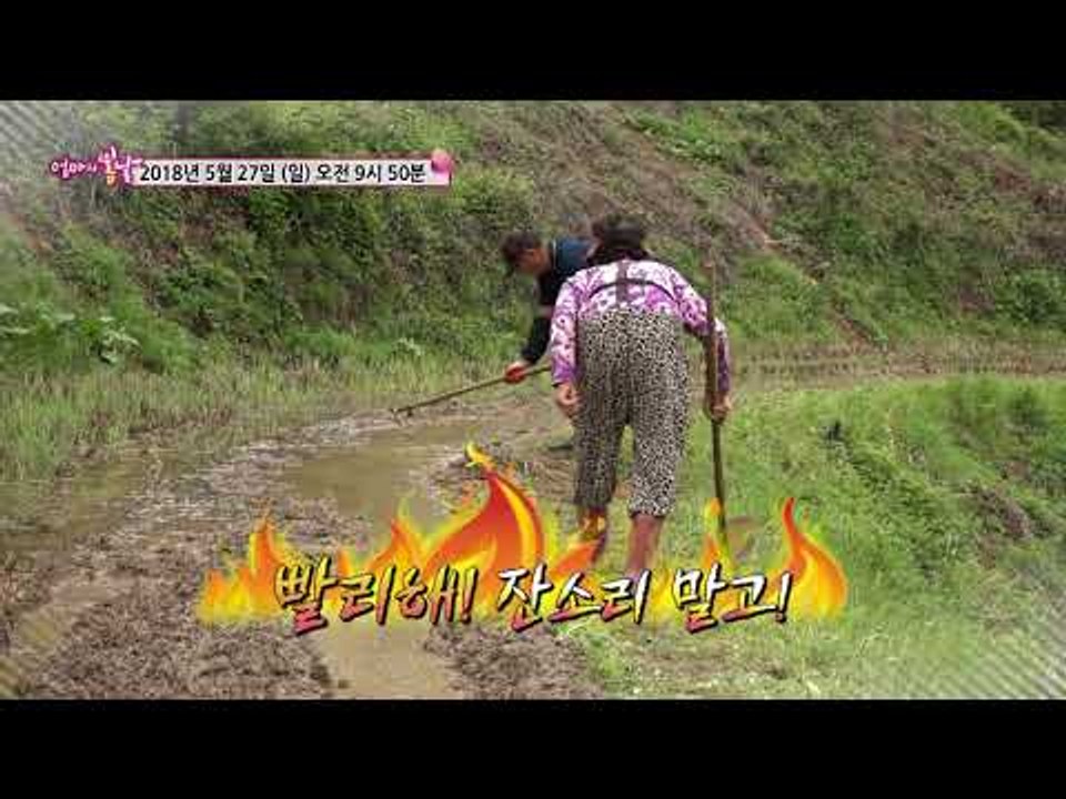 쌍순 엄마와 초보 농사꾼_엄마의 봄날 141회 예고