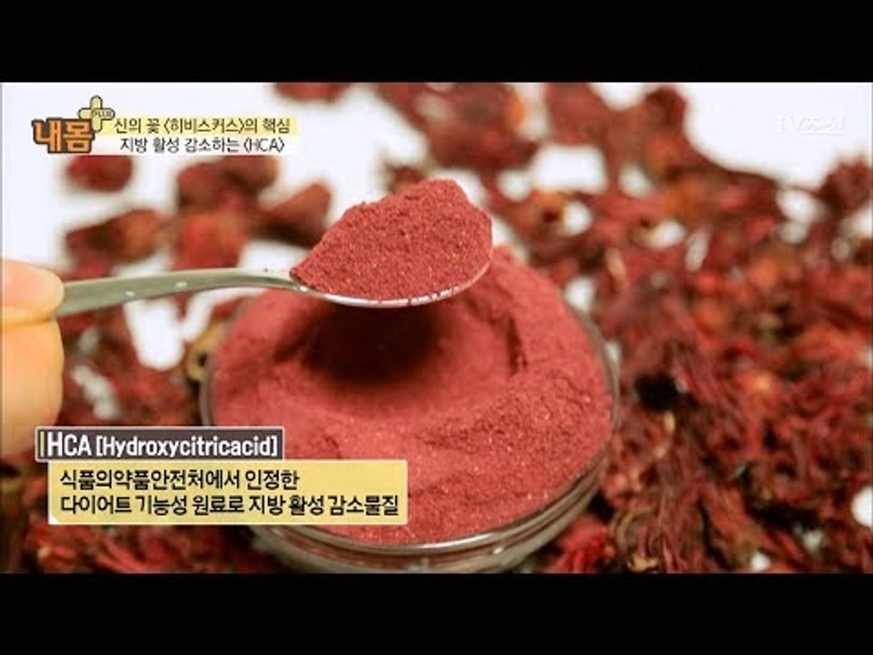 히비스커스가 체중감량에 미치는 영향은? [내 몸 플러스] 102회 20180520