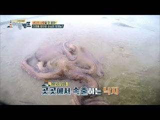 혼비백산! 다래를 찾아온 손님의 정체는? [장화신GO 어촌캠프] 4회 20180525