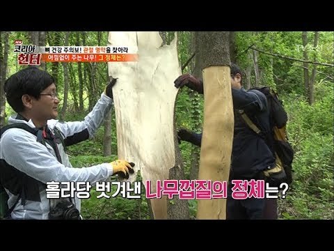 뼈 건강에 탁월! 아는 사람만 아는 ‘이것’의 정체는? [뉴 코리아 헌터] 104회 20180528