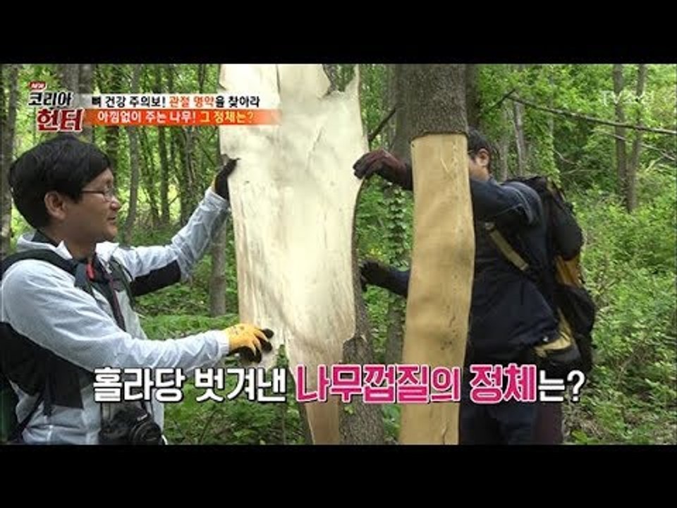 뼈 건강에 탁월! 아는 사람만 아는 ‘이것’의 정체는? [뉴 코리아 헌터] 104회...