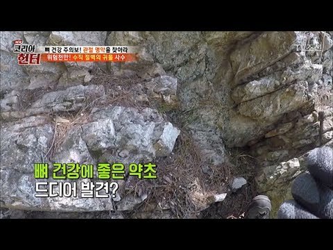 [위험 주의] 수직 절벽에서 헌터가 사수한 귀물의 정체는? [뉴 코리아 헌터] 104회 20180528