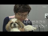 [선공개]김형자, 18살 반려견 똘똘이와의 이별 준비 [마이웨이] 104회 20180705