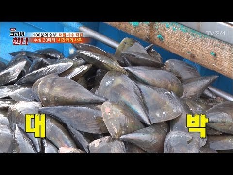 캄캄한 수심 20m! 펄 속의 보물을 찾아라?! [뉴 코리아 헌터] 105회 20180604