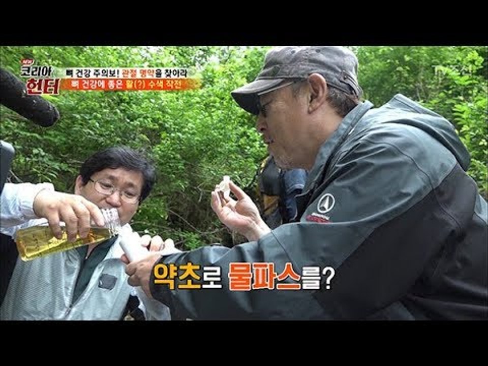 뿌리기만해도 통증이 사라진다?! 귀한 약초 ‘강활’의 정체! [뉴 코리아 헌터] 10...