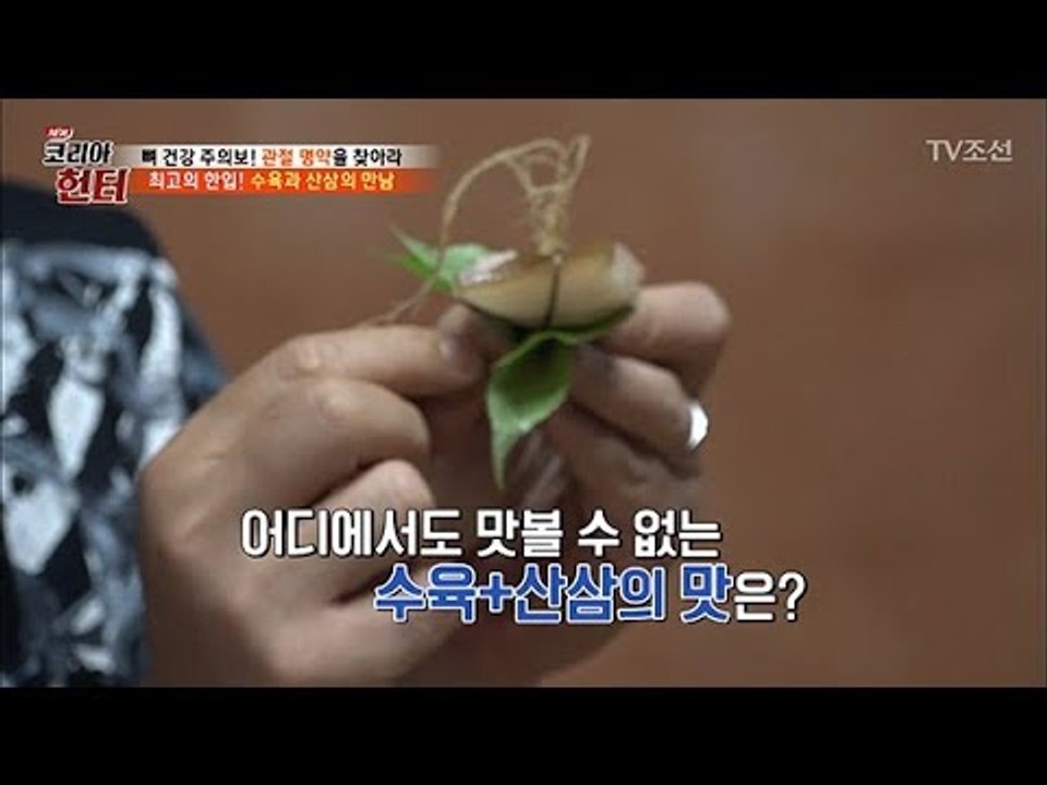 수육을 산삼에 싸먹는 사람들! 산삼이 얼마나 많기에?! [뉴 코리아 헌터] 104회...