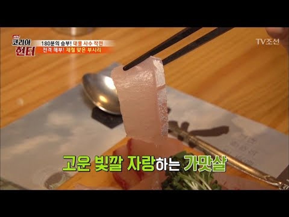 서걱 서걱! 쫄깃 쫄깃~ 부시리에서 소고기 맛이 난다?! [뉴 코리아 헌터] 105회...