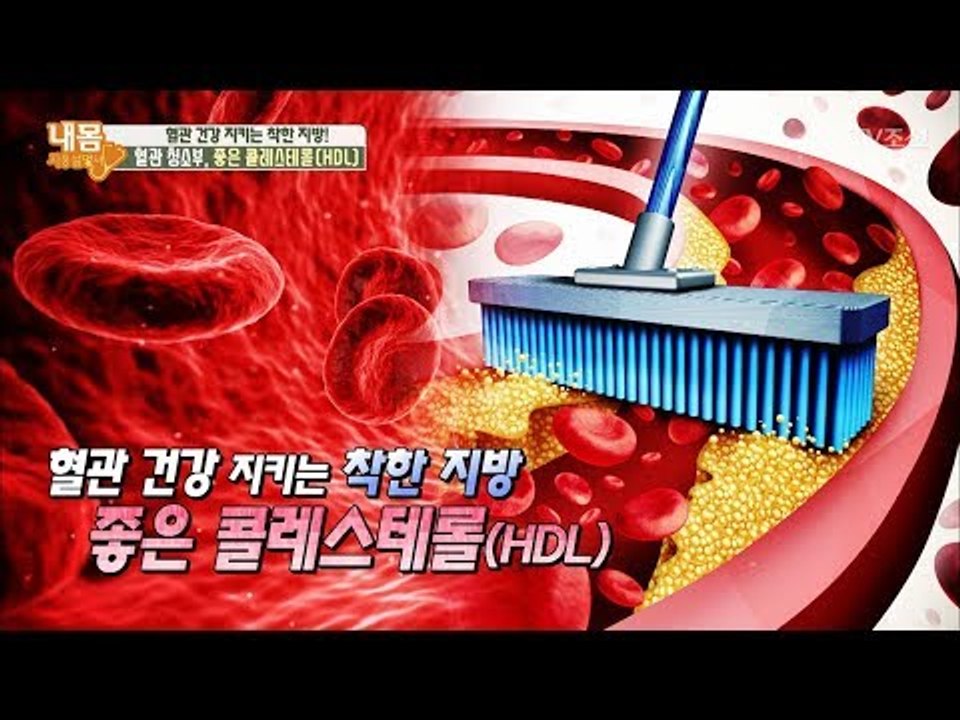치매 예방! 혈관 건강 지키는 '착한지방'의 정체는? [내 몸 사용설명서] 209회...