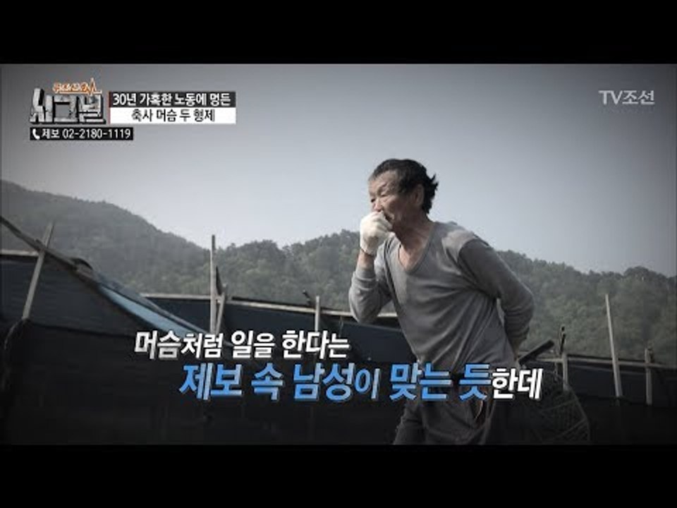 남의 집에서 일 하고 돈을 못 받는다?! 머슴처럼 일하는 남성!  [시그널] 28회...