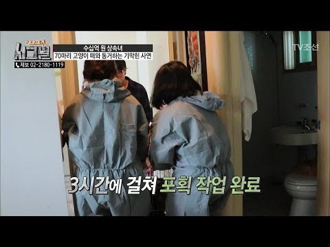반려 묘와 고양이 동거녀의 건강 회복을 위한 프로젝트! [시그널] 34회 20180720