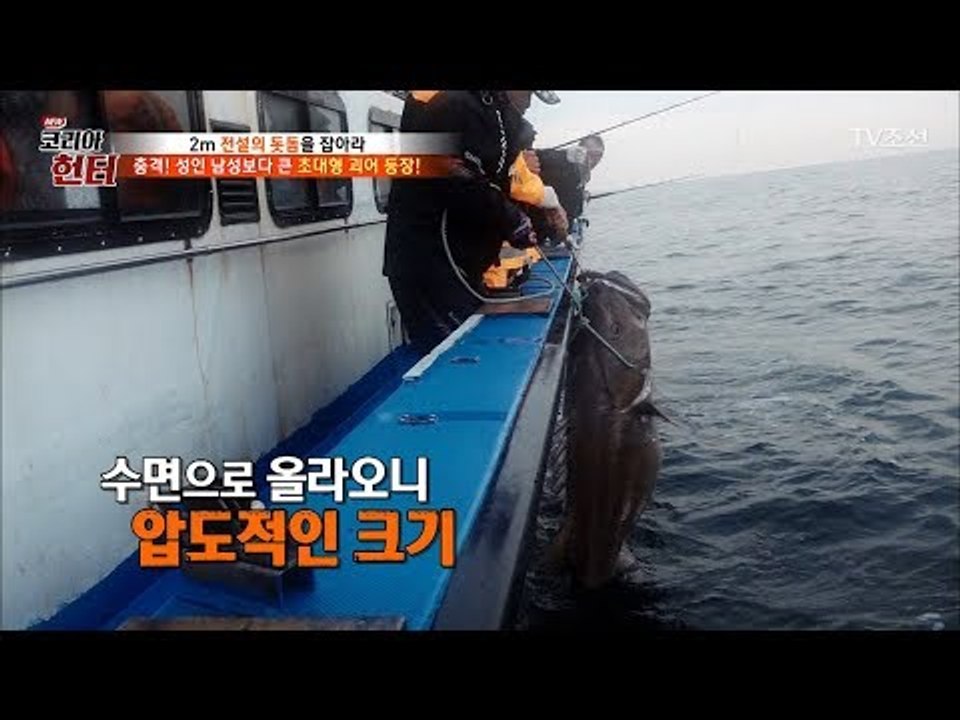 성인 남성보다 큰 초대형 돗돔?! 헌터와 돗돔의 사투! [뉴 코리아 헌터] 106회...