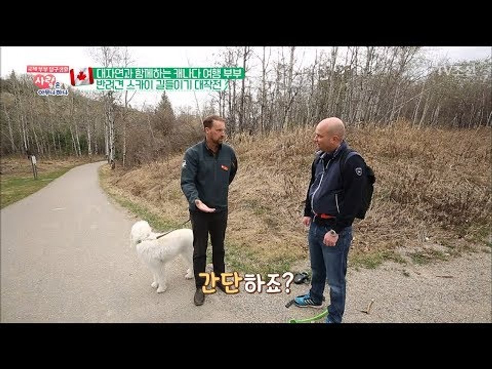캐나다의 강형욱?! 손짓한번에 반려견 길들이기 성공?! [사랑은 아무나 하나] 40회...