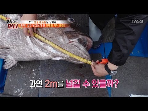 이거 실화야? 비늘 하나가 동전보다 크다! 성인 남자보다 큰 돗돔! [뉴 코리아 헌터] 106회 20180611