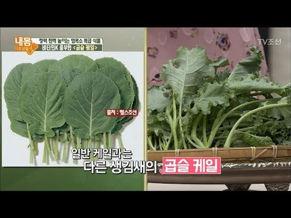 엽록소를 꽉~ 채워 정맥 탄력 높이는 첫 번째 보약은?! [내 몸 사용설명서] 210...