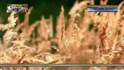 충주출장안마 -여대생！Ø7Øb73Ø1a9649{톡문의CNF698}충주전지역출장마사지충주출장안마'충주출장마사지황형'출장안마'абв출장오피'출장마사지'콜걸