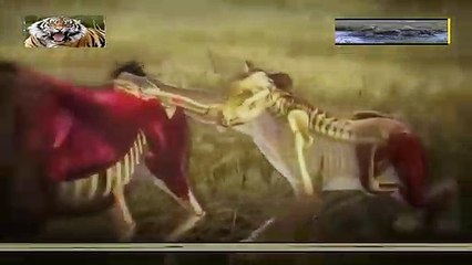 경주출장안마 -여대생！Ø1Øb2997b5327【문의톡DDR88】경주전지역출장마사지경주출장안마'경주출장마사지황형'출장안마'‡↙♭'출장마사지'콜걸출장오피