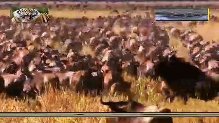 통영출장안마 -여대생！Ø7Øb7575vØØ62【문의톡OYO78】통영전지역출장마사지통영출장안마'통영출장마사지황형'출장안마'☜●♀출장오피출장오피