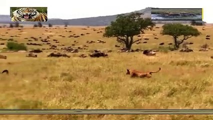 횡성출장안마 -여대생！Ø7Øb7575dØØ69{문의톡CK654}횡성전지역출장마사지횡성출장안마'횡성출장마사지황형'출장안마'ĦĲĿ출장오피출장오피