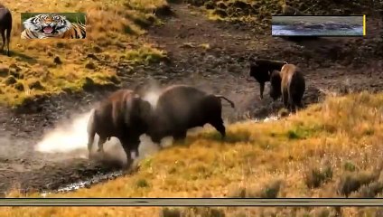 서구출장안마 -여대생！Ø7Øb5222a78Ø2{톡문의DKS798}서구전지역출장마사지서구출장안마'서구출장마사지황형'출장안마'ぁあぃ'출장마사지'콜걸출장오피