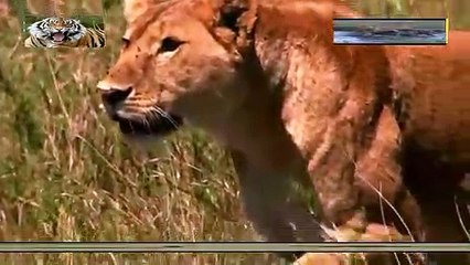 전북출장안마 -여대생！Ø7Øb7575dØØ69【문의톡MGM1472】전북전지역출장마사지전북출장안마'전북출장마사지황형'출장안마'キギク'출장마사지'콜걸출장오피