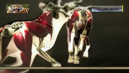 태종대출장안마 -여대생！Ø7Øb7575vØØ62【문의톡OYO78】태종대전지역출장마사지태종대출장안마'태종대출장마사지황형'출장안마'スズセ출장오피출장오피