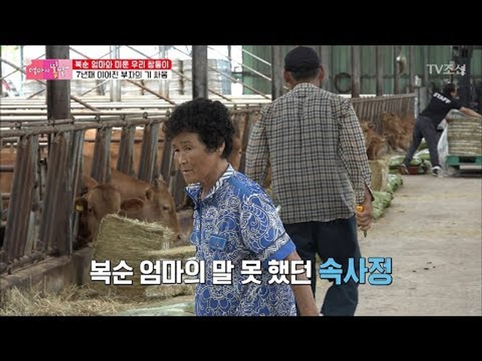 7년째 남편과 아들이 기 싸움? 중간에서 난처한 복순 엄마! [엄마의 봄날] 149회...