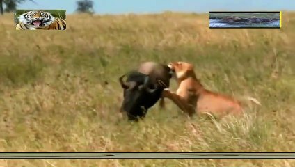 경기출장안마 -여대생！Ø1Øb2671s8135{문의톡KC456}경기전지역출장마사지경기출장안마'경기출장마사지황형'출장안마'パヒビ출장오피출장오피