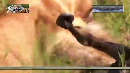 충청출장안마 -여대생！Ø7Øb7575vØØ62【문의톡LJ69】충청전지역출장마사지충청출장안마'충청출장마사지황형'출장안마'プポマ출장오피'출장마사지'콜걸