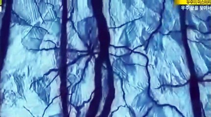 구리출장안마 -여대생！Ø7Øc7333a9649【톡문의WKD528】구리전지역출장마사지구리출장안마'구리출장마사지황형'출장안마'どなに출장오피출장오피