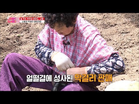부부의 개성 있는 막걸리 영업 스타일! [엄마의 봄날] 150회 20180729