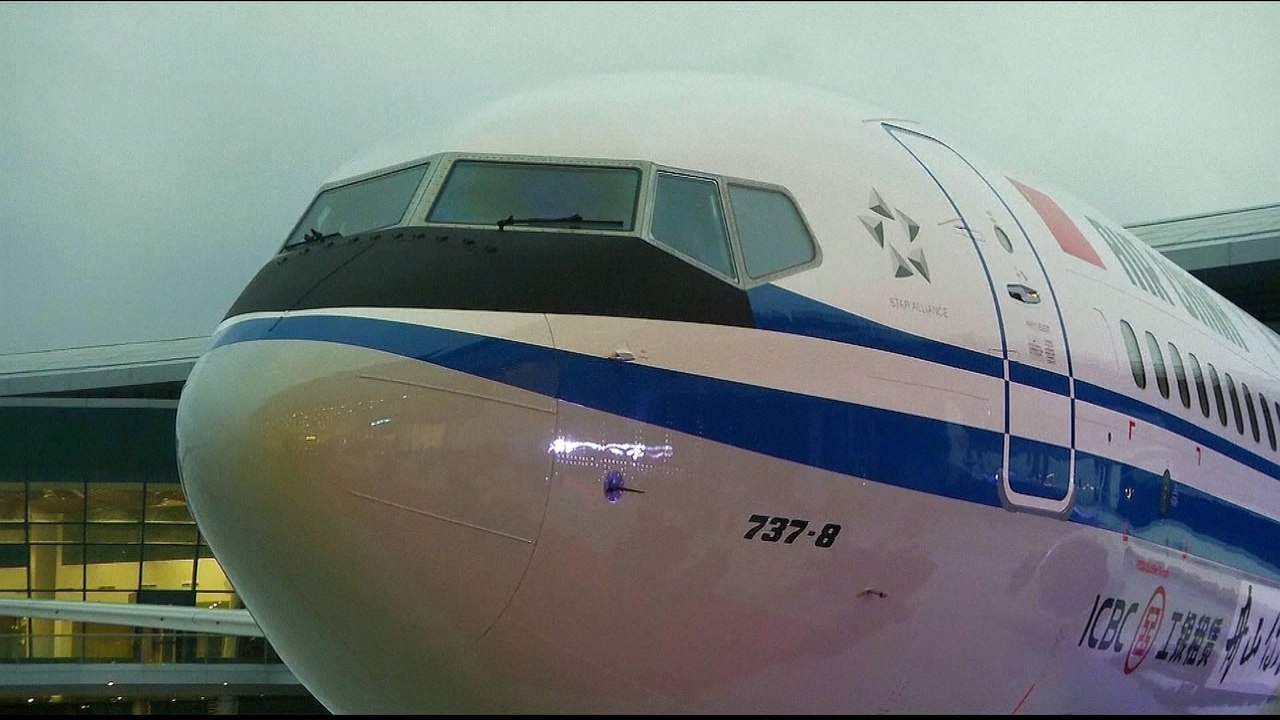 Boeing wants suspension of 'entire global fleet' of 737 MAX