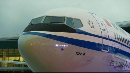 Boeing wants suspension of 'entire global fleet' of 737 MAX