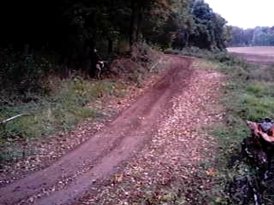 quad 450
