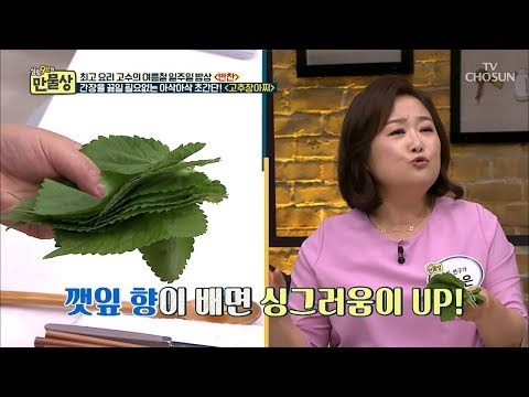 이게 진정 고추장아찌? 맛을 UP 시키는 2가지 재료는?! [만물상 255회] 20180802