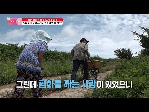 45년 노부부 앞에 평화를 깨는 사람이 나타났다?! [엄마의 봄날] 149회 20180722